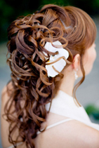 Beautiful bridal hair